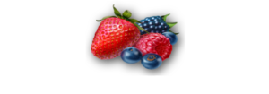 Organic Fruit Cazin